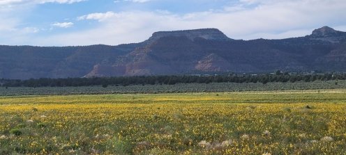 1 of 9 - Eight Mile Gap Rd, Kanab, UT