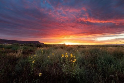 1 of 20 - Lot 10 Palomar Ln, Kanab, UT