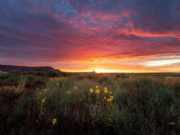 1 of 20 - Lot 10 Palomar Ln, Kanab, UT
