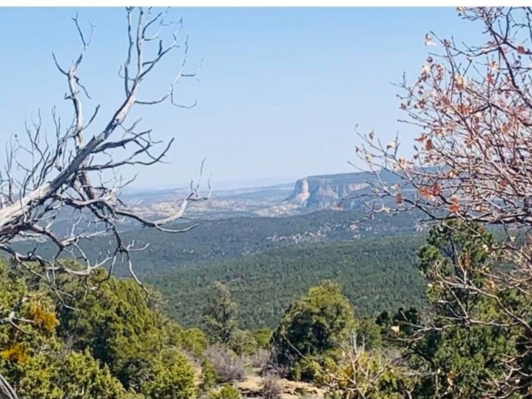 1 of 4 - Horse Hollow Road 46, Kanab, UT