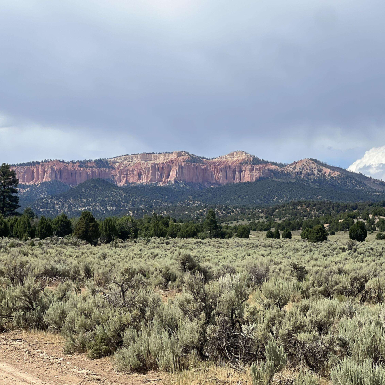 1520 Johnny Brown Pkwy 24